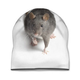 Шапка 3D с принтом Крыса в Курске, 100% полиэстер | универсальный размер, печать по всей поверхности изделия | животные | крыса | мышка | мышь
