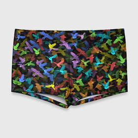 Мужские купальные плавки 3D с принтом Разноцветные птички в Курске, Полиэстер 85%, Спандекс 15% |  | ворбьи | куча | паттерн | птица | птицы | радуга | радужный | синцы | стая | текстура