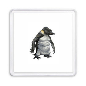 Магнит 55*55 с принтом Пингвинопитек в Курске, Пластик | Размер: 65*65 мм; Размер печати: 55*55 мм | Тематика изображения на принте: лженаука | пингвин