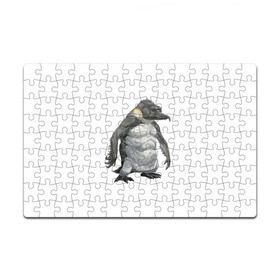 Пазл магнитный 126 элементов с принтом Пингвинопитек в Курске, полимерный материал с магнитным слоем | 126 деталей, размер изделия —  180*270 мм | Тематика изображения на принте: лженаука | пингвин