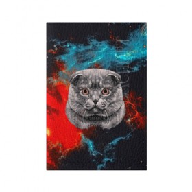 Обложка для паспорта матовая кожа с принтом Космический кот в Курске, натуральная матовая кожа | размер 19,3 х 13,7 см; прозрачные пластиковые крепления | 3d | cat | арт | взгляд | кот | кот хипстер | котёнок | котятки | котятушки | кошечки | кошка | мордочка