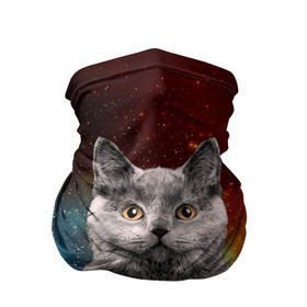 Бандана-труба 3D с принтом Кот в космосе! в Курске, 100% полиэстер, ткань с особыми свойствами — Activecool | плотность 150‒180 г/м2; хорошо тянется, но сохраняет форму | 3d | cat | арт | взгляд | вселенная | звезды | земля | космос | кот | кот хипстер | котёнок | котятки | котятушки | кошечки | кошка | мордочка | плеяды | пространство | созвездие