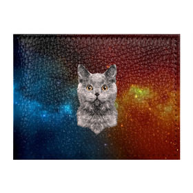 Обложка для студенческого билета с принтом Кот в космосе! в Курске, натуральная кожа | Размер: 11*8 см; Печать на всей внешней стороне | Тематика изображения на принте: 3d | cat | арт | взгляд | вселенная | звезды | земля | космос | кот | кот хипстер | котёнок | котятки | котятушки | кошечки | кошка | мордочка | плеяды | пространство | созвездие