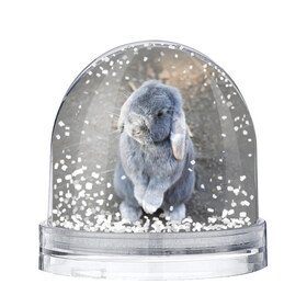 Водяной шар с принтом Кролик в Курске, Пластик | Изображение внутри шара печатается на глянцевой фотобумаге с двух сторон | грызун | животные | заяц | кролик | мордочка | природа | пушистый | уши