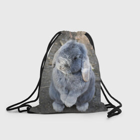 Рюкзак-мешок 3D с принтом Кролик в Курске, 100% полиэстер | плотность ткани — 200 г/м2, размер — 35 х 45 см; лямки — толстые шнурки, застежка на шнуровке, без карманов и подкладки | Тематика изображения на принте: грызун | животные | заяц | кролик | мордочка | природа | пушистый | уши