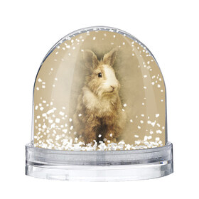Водяной шар с принтом Кролик в Курске, Пластик | Изображение внутри шара печатается на глянцевой фотобумаге с двух сторон | грызун | животные | заяц | кролик | мордочка | природа | пушистый | уши