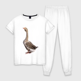 Женская пижама хлопок с принтом Gus power в Курске, 100% хлопок | брюки и футболка прямого кроя, без карманов, на брюках мягкая резинка на поясе и по низу штанин | белый | гуси | животные | птицы