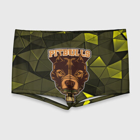 Мужские купальные плавки 3D с принтом Pitbulls в Курске, Полиэстер 85%, Спандекс 15% |  | Тематика изображения на принте: dog | pitbulls | абстракция | геометрия | животные | собака | треугольники | цепь