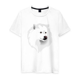 Мужская футболка хлопок с принтом Самоед в Курске, 100% хлопок | прямой крой, круглый вырез горловины, длина до линии бедер, слегка спущенное плечо. | ездовая собака | ес | лайка | самоедская собака