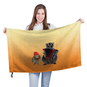 Флаг 3D с принтом Енот, сова и аккордион в Курске, 100% полиэстер | плотность ткани — 95 г/м2, размер — 67 х 109 см. Принт наносится с одной стороны | животные | музыка