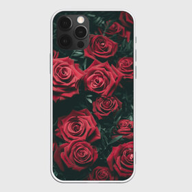 Чехол для iPhone 12 Pro Max с принтом Бархатные розы в Курске, Силикон |  | бархат | бутоны | роза | розы | цветы