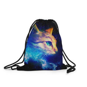 Рюкзак-мешок 3D с принтом Звездный кот в Курске, 100% полиэстер | плотность ткани — 200 г/м2, размер — 35 х 45 см; лямки — толстые шнурки, застежка на шнуровке, без карманов и подкладки | звезды | кот | мордочка | темный