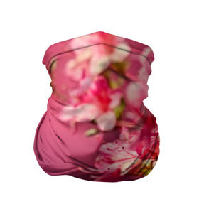 Бандана-труба 3D с принтом Сакура в Курске, 100% полиэстер, ткань с особыми свойствами — Activecool | плотность 150‒180 г/м2; хорошо тянется, но сохраняет форму | 3d | flower | nature | pink | sakura | весна | деревья | природа | розовый | сакура | цветы | япония
