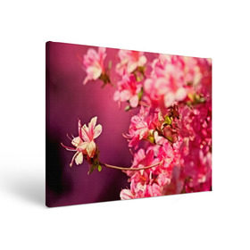 Холст прямоугольный с принтом Сакура в Курске, 100% ПВХ |  | Тематика изображения на принте: 3d | flower | nature | pink | sakura | весна | деревья | природа | розовый | сакура | цветы | япония