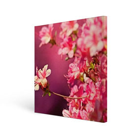Холст квадратный с принтом Сакура в Курске, 100% ПВХ |  | Тематика изображения на принте: 3d | flower | nature | pink | sakura | весна | деревья | природа | розовый | сакура | цветы | япония