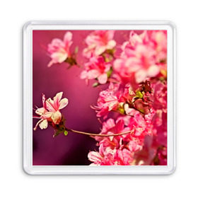 Магнит 55*55 с принтом Сакура в Курске, Пластик | Размер: 65*65 мм; Размер печати: 55*55 мм | Тематика изображения на принте: 3d | flower | nature | pink | sakura | весна | деревья | природа | розовый | сакура | цветы | япония