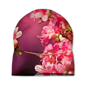 Шапка 3D с принтом Сакура в Курске, 100% полиэстер | универсальный размер, печать по всей поверхности изделия | 3d | flower | nature | pink | sakura | весна | деревья | природа | розовый | сакура | цветы | япония
