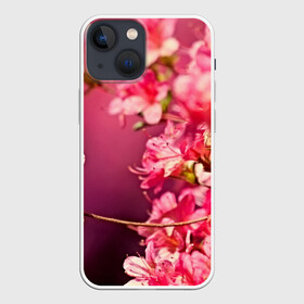 Чехол для iPhone 13 mini с принтом Сакура в Курске,  |  | 3d | flower | nature | pink | sakura | весна | деревья | природа | розовый | сакура | цветы | япония