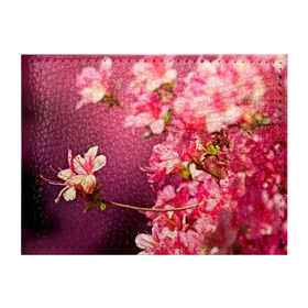 Обложка для студенческого билета с принтом Сакура в Курске, натуральная кожа | Размер: 11*8 см; Печать на всей внешней стороне | Тематика изображения на принте: 3d | flower | nature | pink | sakura | весна | деревья | природа | розовый | сакура | цветы | япония