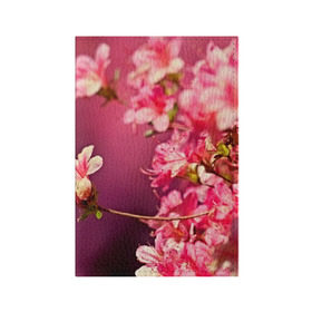 Обложка для паспорта матовая кожа с принтом Сакура в Курске, натуральная матовая кожа | размер 19,3 х 13,7 см; прозрачные пластиковые крепления | Тематика изображения на принте: 3d | flower | nature | pink | sakura | весна | деревья | природа | розовый | сакура | цветы | япония