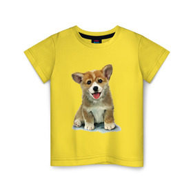 Детская футболка хлопок с принтом Коржик в Курске, 100% хлопок | круглый вырез горловины, полуприлегающий силуэт, длина до линии бедер | corgi | dog | korgi | вельш корги | дог | кардиган | корги | пемброк | собака | щенок