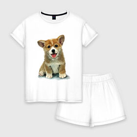 Женская пижама с шортиками хлопок с принтом Коржик в Курске, 100% хлопок | футболка прямого кроя, шорты свободные с широкой мягкой резинкой | corgi | dog | korgi | вельш корги | дог | кардиган | корги | пемброк | собака | щенок