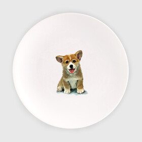 Тарелка с принтом Коржик в Курске, фарфор | диаметр - 210 мм
диаметр для нанесения принта - 120 мм | Тематика изображения на принте: corgi | dog | korgi | вельш корги | дог | кардиган | корги | пемброк | собака | щенок