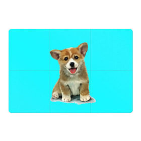 Магнитный плакат 3Х2 с принтом Корги в Курске, Полимерный материал с магнитным слоем | 6 деталей размером 9*9 см | corgy | dog | korgi | puppy | вельш корги | кардиган | коржик | пемброк | собака | щенок