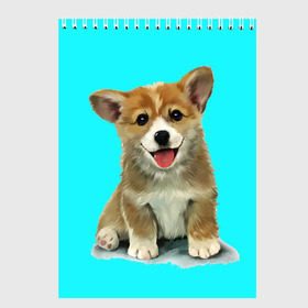 Скетчбук с принтом Корги в Курске, 100% бумага
 | 48 листов, плотность листов — 100 г/м2, плотность картонной обложки — 250 г/м2. Листы скреплены сверху удобной пружинной спиралью | Тематика изображения на принте: corgy | dog | korgi | puppy | вельш корги | кардиган | коржик | пемброк | собака | щенок