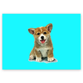 Поздравительная открытка с принтом Корги в Курске, 100% бумага | плотность бумаги 280 г/м2, матовая, на обратной стороне линовка и место для марки
 | Тематика изображения на принте: corgy | dog | korgi | puppy | вельш корги | кардиган | коржик | пемброк | собака | щенок