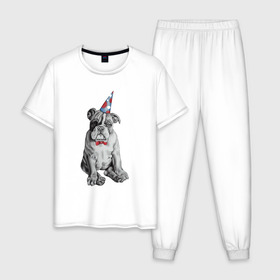Мужская пижама хлопок с принтом праздничный бульдог в Курске, 100% хлопок | брюки и футболка прямого кроя, без карманов, на брюках мягкая резинка на поясе и по низу штанин
 | Тематика изображения на принте: dog | happy | бабочка | бульдог | день рождение | дог | собака