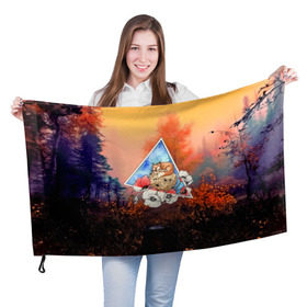 Флаг 3D с принтом Fox в Курске, 100% полиэстер | плотность ткани — 95 г/м2, размер — 67 х 109 см. Принт наносится с одной стороны | лиса | лисица | пейзаж