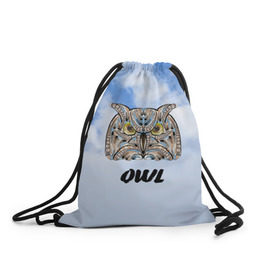 Рюкзак-мешок 3D с принтом Owl в Курске, 100% полиэстер | плотность ткани — 200 г/м2, размер — 35 х 45 см; лямки — толстые шнурки, застежка на шнуровке, без карманов и подкладки | owl | животные | полуночник | природа | сова | сыч | филин | этника