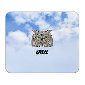 Коврик прямоугольный с принтом Owl в Курске, натуральный каучук | размер 230 х 185 мм; запечатка лицевой стороны | owl | животные | полуночник | природа | сова | сыч | филин | этника
