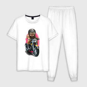 Мужская пижама хлопок с принтом Кот мотоциклист в Курске, 100% хлопок | брюки и футболка прямого кроя, без карманов, на брюках мягкая резинка на поясе и по низу штанин
 | Тематика изображения на принте: moto | киса | кот | котэ | мото | мотоцикл | очки | шлем