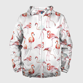 Мужская ветровка 3D с принтом Фламинго в Курске, 100% полиэстер | подол и капюшон оформлены резинкой с фиксаторами, два кармана без застежек по бокам, один потайной карман на груди | vppdgryphon | арт | краска | прикольные | птицы | фламинго | цветные