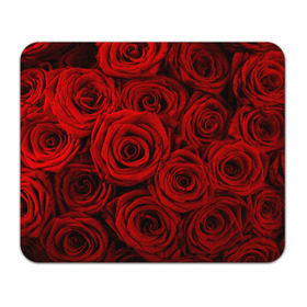 Коврик прямоугольный с принтом Красные розы в Курске, натуральный каучук | размер 230 х 185 мм; запечатка лицевой стороны | букет | красный | розы | цветы
