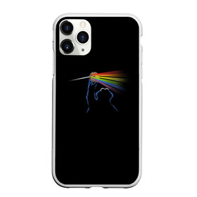 Чехол для iPhone 11 Pro матовый с принтом Pink Floyd Cookie Monster в Курске, Силикон |  | монстр | печеньки | улица сезам