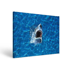 Холст прямоугольный с принтом Пасть акулы в Курске, 100% ПВХ |  | акула | атака | белая | брызги | вода | волны | зубы | капли | море | океан | опасность | синяя | челюсти | эффект