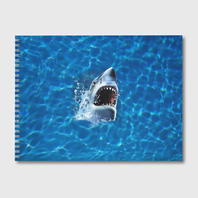 Альбом для рисования с принтом Пасть акулы в Курске, 100% бумага
 | матовая бумага, плотность 200 мг. | Тематика изображения на принте: акула | атака | белая | брызги | вода | волны | зубы | капли | море | океан | опасность | синяя | челюсти | эффект
