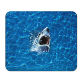 Коврик прямоугольный с принтом Пасть акулы в Курске, натуральный каучук | размер 230 х 185 мм; запечатка лицевой стороны | акула | атака | белая | брызги | вода | волны | зубы | капли | море | океан | опасность | синяя | челюсти | эффект
