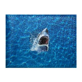 Обложка для студенческого билета с принтом Пасть акулы в Курске, натуральная кожа | Размер: 11*8 см; Печать на всей внешней стороне | акула | атака | белая | брызги | вода | волны | зубы | капли | море | океан | опасность | синяя | челюсти | эффект