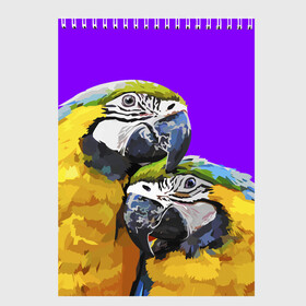 Скетчбук с принтом Попугайчики в Курске, 100% бумага
 | 48 листов, плотность листов — 100 г/м2, плотность картонной обложки — 250 г/м2. Листы скреплены сверху удобной пружинной спиралью | Тематика изображения на принте: bird | животные | попугайчики | птицы | текстуры