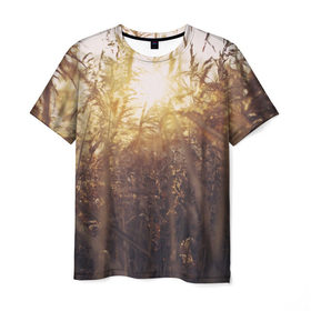 Мужская футболка 3D с принтом Солнце во ржи в Курске, 100% полиэфир | прямой крой, круглый вырез горловины, длина до линии бедер | восход | закат | лучи | поле | природа | растения | рож | солнце | тепло