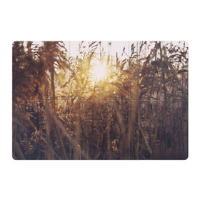 Магнитный плакат 3Х2 с принтом Солнце во ржи в Курске, Полимерный материал с магнитным слоем | 6 деталей размером 9*9 см | восход | закат | лучи | поле | природа | растения | рож | солнце | тепло