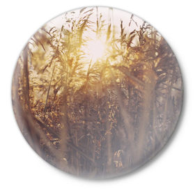 Значок с принтом Солнце во ржи в Курске,  металл | круглая форма, металлическая застежка в виде булавки | восход | закат | лучи | поле | природа | растения | рож | солнце | тепло