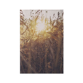 Обложка для паспорта матовая кожа с принтом Солнце во ржи в Курске, натуральная матовая кожа | размер 19,3 х 13,7 см; прозрачные пластиковые крепления | Тематика изображения на принте: восход | закат | лучи | поле | природа | растения | рож | солнце | тепло