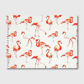 Альбом для рисования с принтом Фламинго в Курске, 100% бумага
 | матовая бумага, плотность 200 мг. | арт | птицы | текстура | фламинго