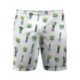 Мужские шорты 3D спортивные с принтом Кактусы в Курске,  |  | горшок | зеленый | кактус | принт | растение | флора | цветы