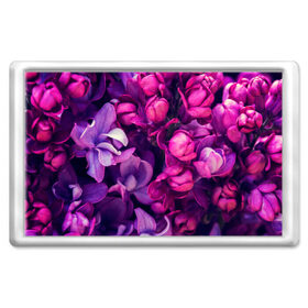 Магнит 45*70 с принтом Тюльпановый сад в Курске, Пластик | Размер: 78*52 мм; Размер печати: 70*45 | flower | краски | природа | розы | тюльпаны | цветы
